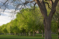 Fort Collins movers