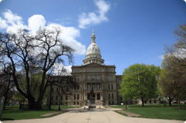 Michigan movers