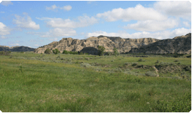North Dakota moving companies