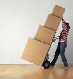 Ventura moving services