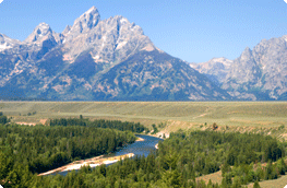 Wyoming movers
