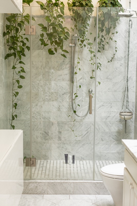 shower plants